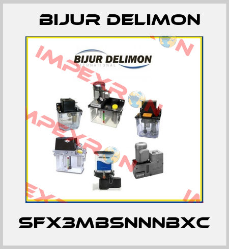 SFX3MBSNNNBXC Bijur Delimon