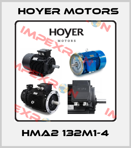 HMA2 132M1-4 Hoyer Motors
