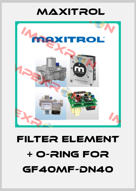 Filter element + O-Ring for GF40MF-DN40 Maxitrol