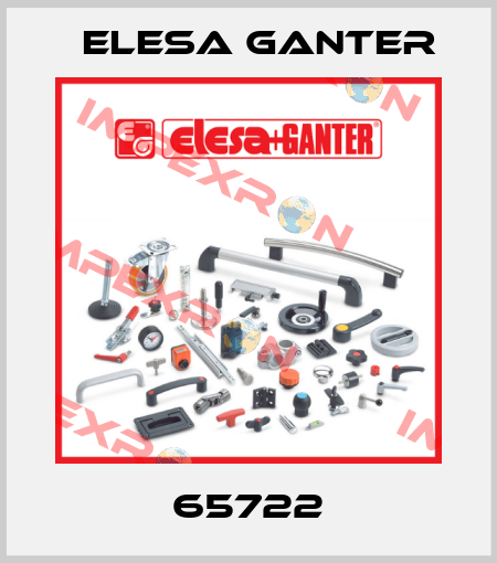 65722 Elesa Ganter