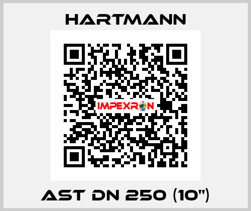 AST DN 250 (10") Hartmann