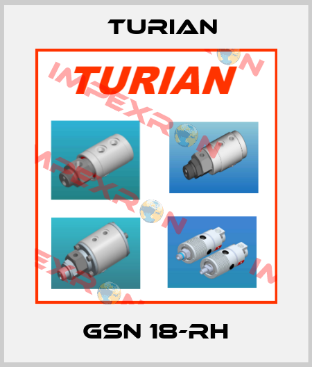 GSN 18-RH Turian