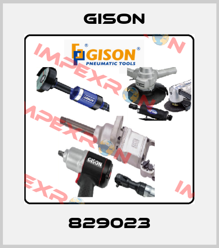 829023 Gison