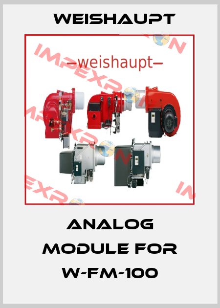 Analog module for W-FM-100 Weishaupt