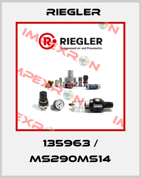 135963 / MS290MS14 Riegler