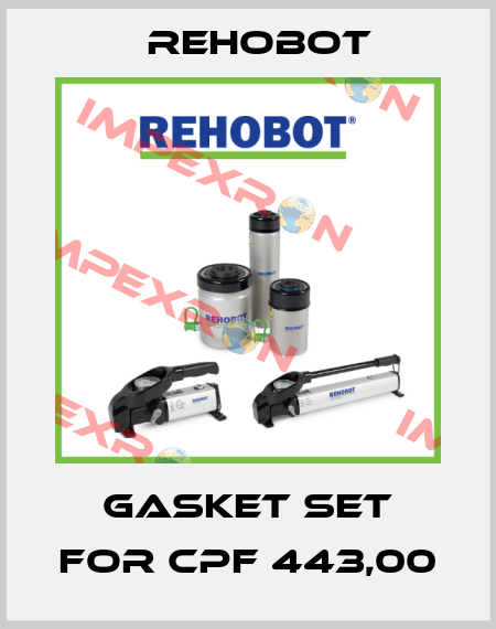 gasket set for CPF 443,00 Rehobot