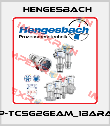 P-TCSG2GEAM_1barA Hengesbach