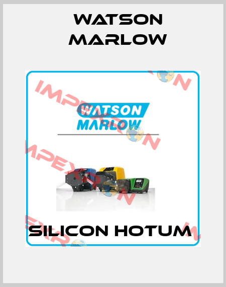 SILICON HOTUM  Watson Marlow
