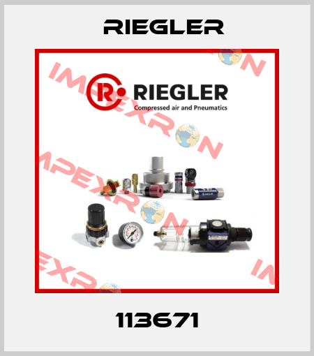 113671 Riegler
