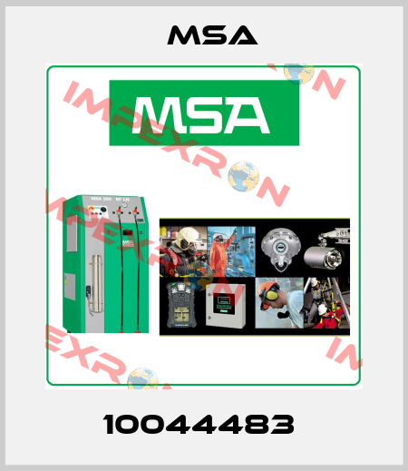 10044483  Msa