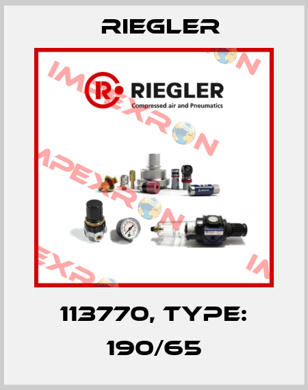 113770, Type: 190/65 Riegler
