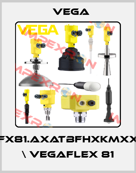 FX81.AXATBFHXKMXX \ VEGAFLEX 81 Vega