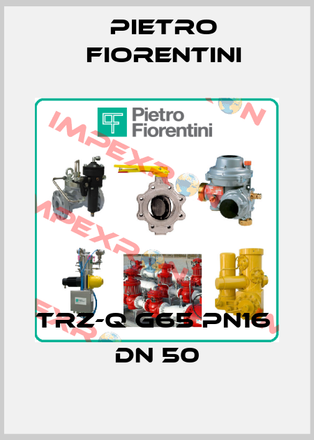 TRZ-Q G65 PN16          DN 50 Pietro Fiorentini