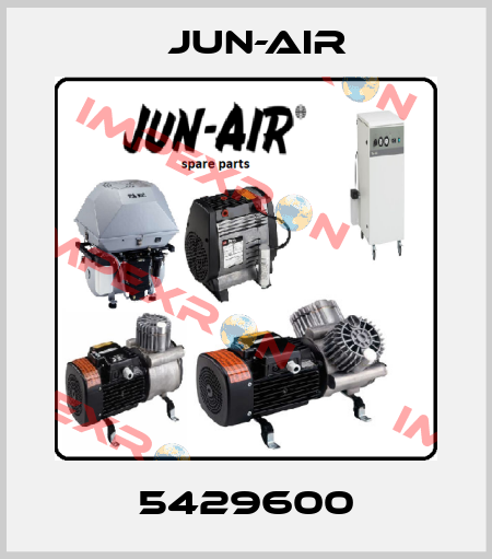 5429600 Jun-Air
