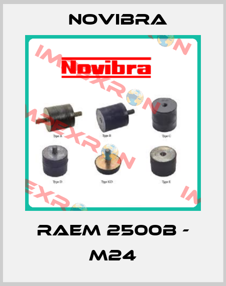 RAEM 2500B - M24 Novibra