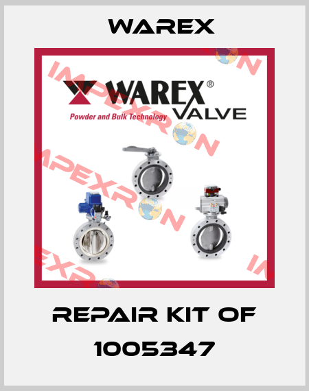 repair kit of 1005347 Warex