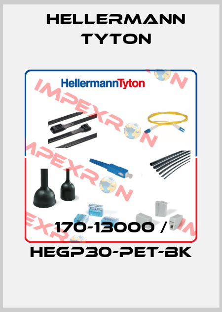 170-13000 / HEGP30-PET-BK Hellermann Tyton