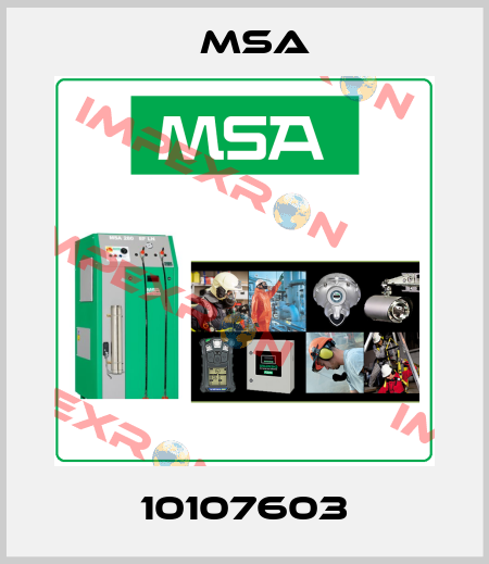 10107603 Msa