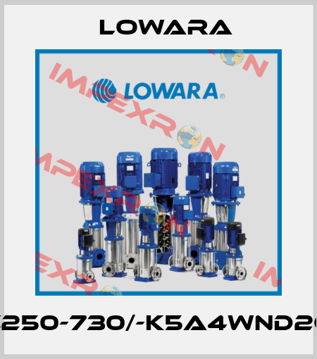e-XC250-730/-K5A4WND2CC1G Lowara