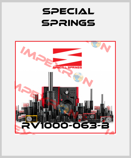 RV1000-063-B Special Springs