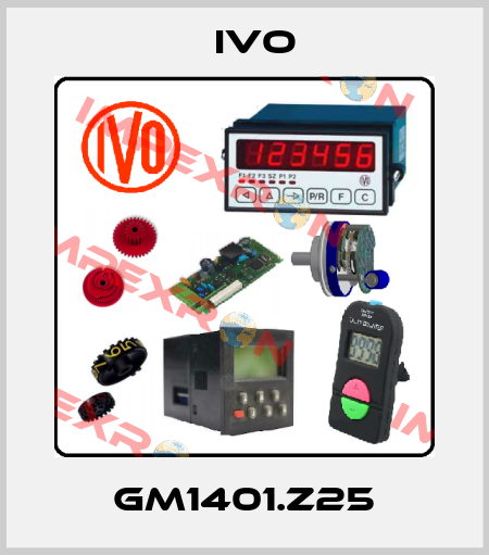 GM1401.Z25 IVO