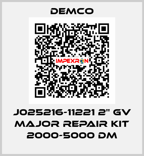 J025216-11221 2" GV MAJOR REPAIR KIT 2000-5000 DM Demco