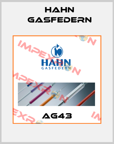 AG43 Hahn Gasfedern