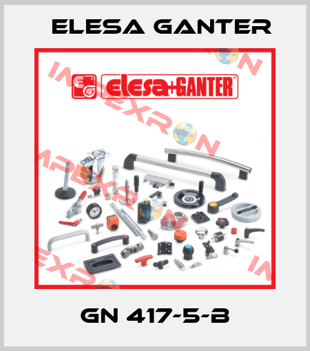 GN 417-5-B Elesa Ganter