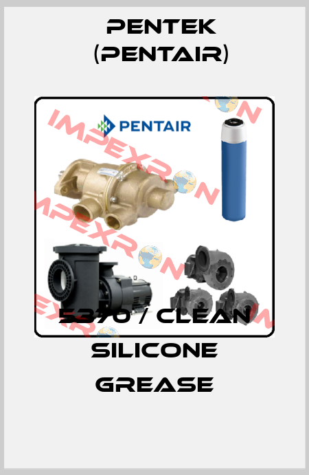 5370 / clean silicone grease Pentek (Pentair)