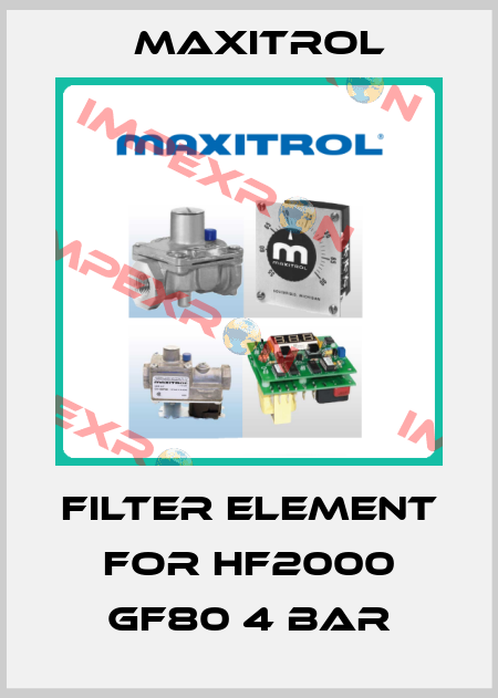 filter element for HF2000 GF80 4 BAR Maxitrol
