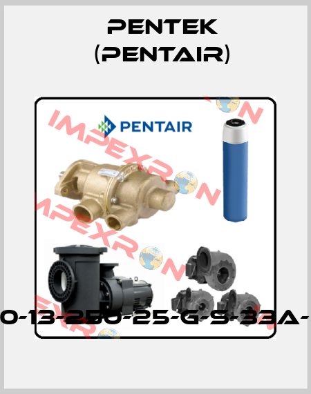 VA500-13-250-25-G-S-33A-41-174 Pentek (Pentair)