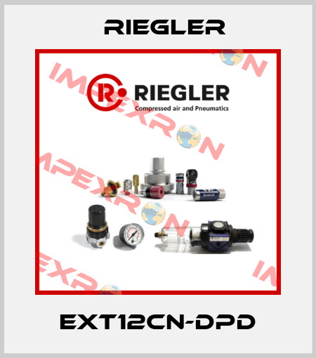 EXT12CN-DPD Riegler