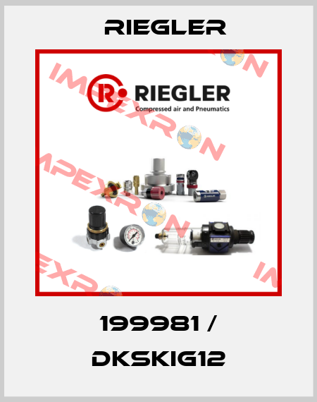 199981 / DKSKIG12 Riegler