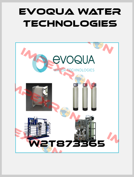 W2T873365 Evoqua Water Technologies