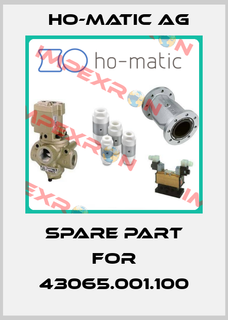 spare part for 43065.001.100 Ho-Matic AG