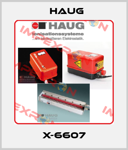 X-6607 Haug