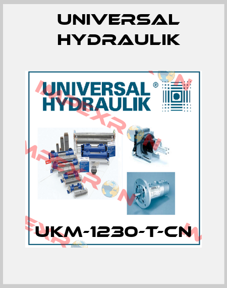 UKM-1230-T-CN Universal Hydraulik