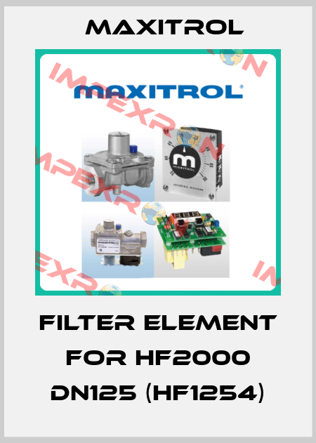 filter element for HF2000 DN125 (HF1254) Maxitrol