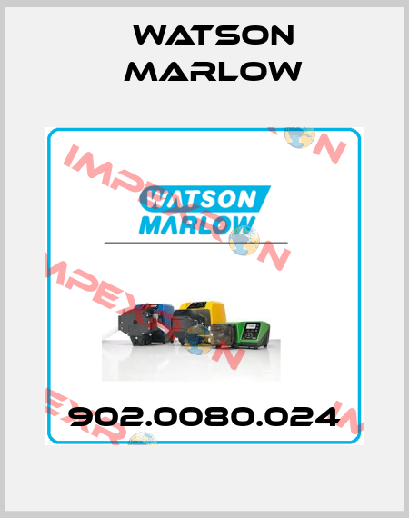902.0080.024 Watson Marlow