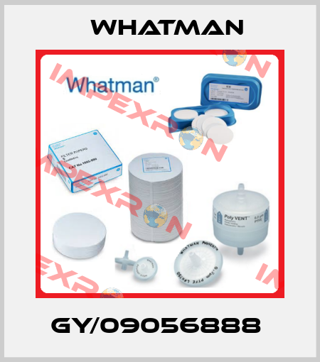GY/09056888  Whatman