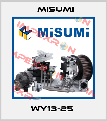 WY13-25  Misumi