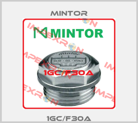 1GC/F30A Mintor