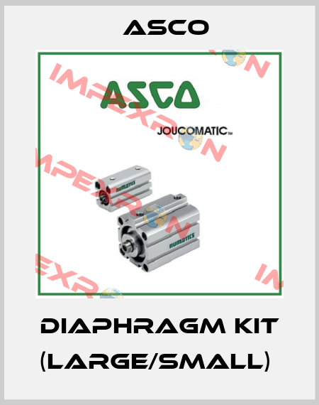 DIAPHRAGM KIT (LARGE/SMALL)  Asco