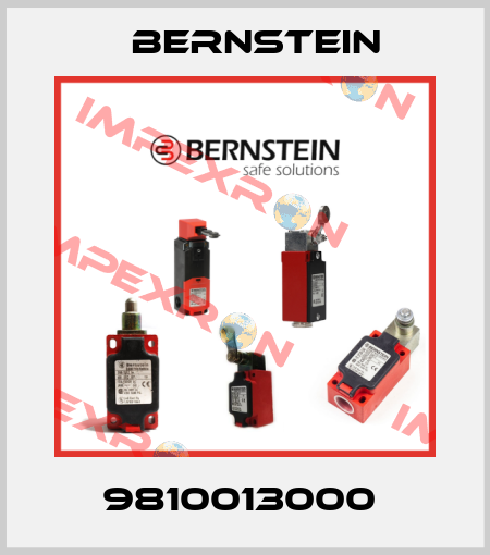 9810013000  Bernstein
