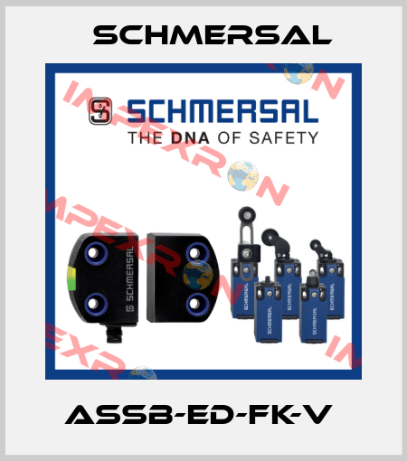 ASSB-ED-FK-V  Schmersal