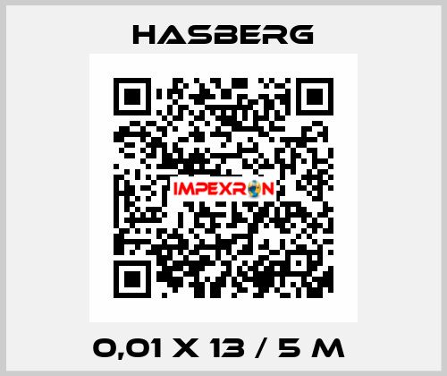 0,01 X 13 / 5 M  Hasberg