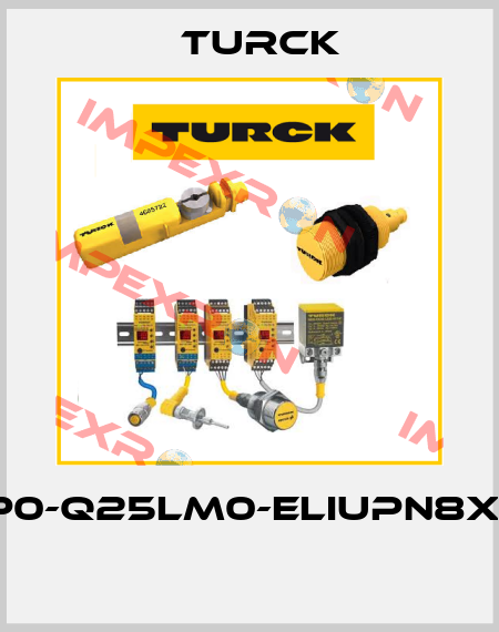 LI900P0-Q25LM0-ELIUPN8X3-H1151  Turck