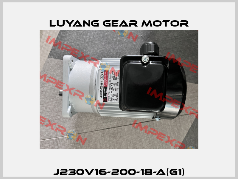 J230V16-200-18-A(G1) Luyang Gear Motor