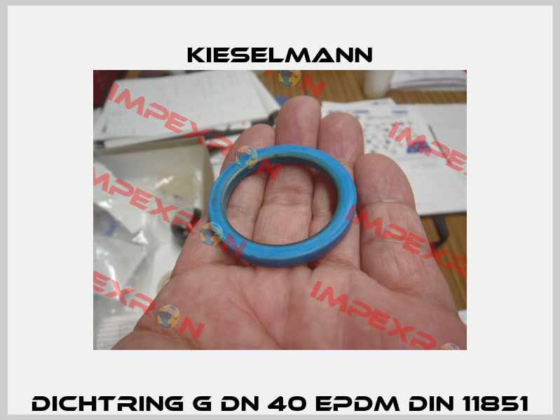 Dichtring G DN 40 EPDM DIN 11851 Kieselmann