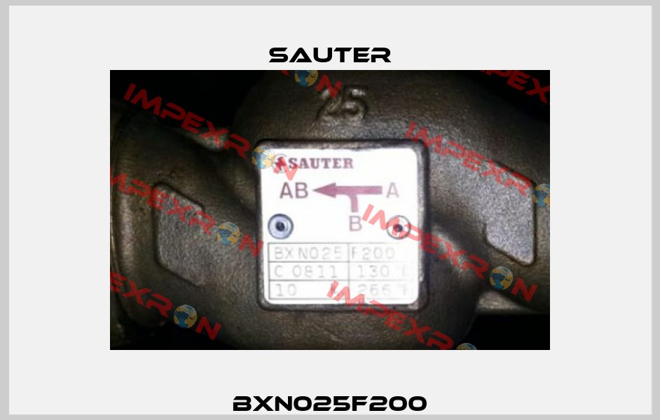 BXN025F200 Sauter